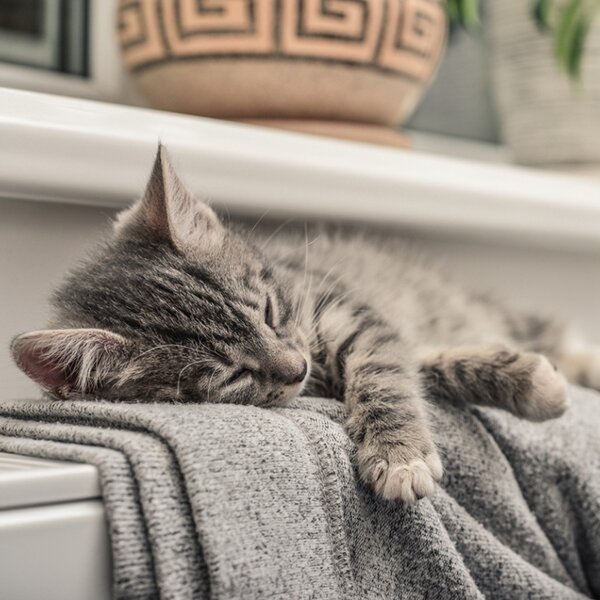 Avec un radiateur, vous aurez encore plus chaud
