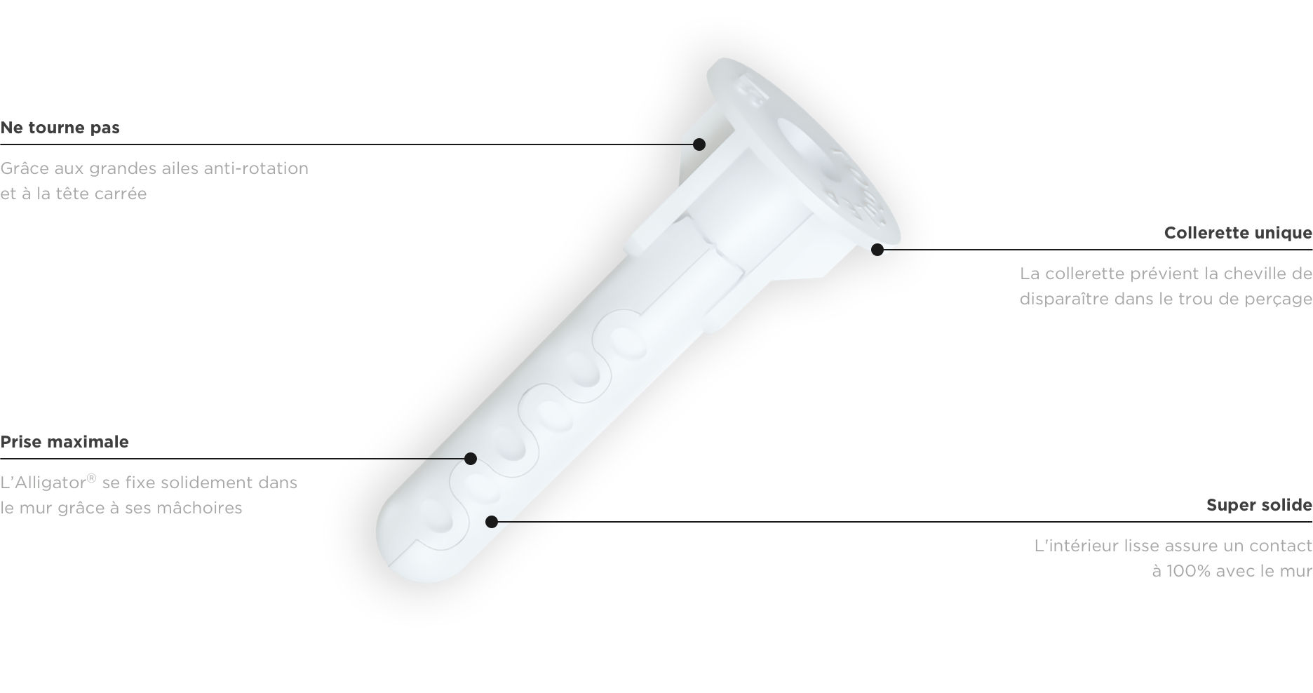 Cheville Universelle