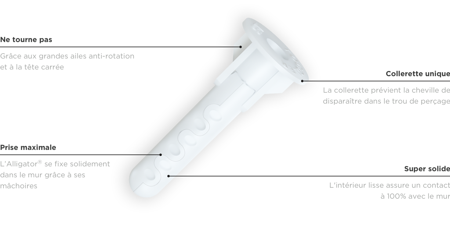 Cheville Universelle